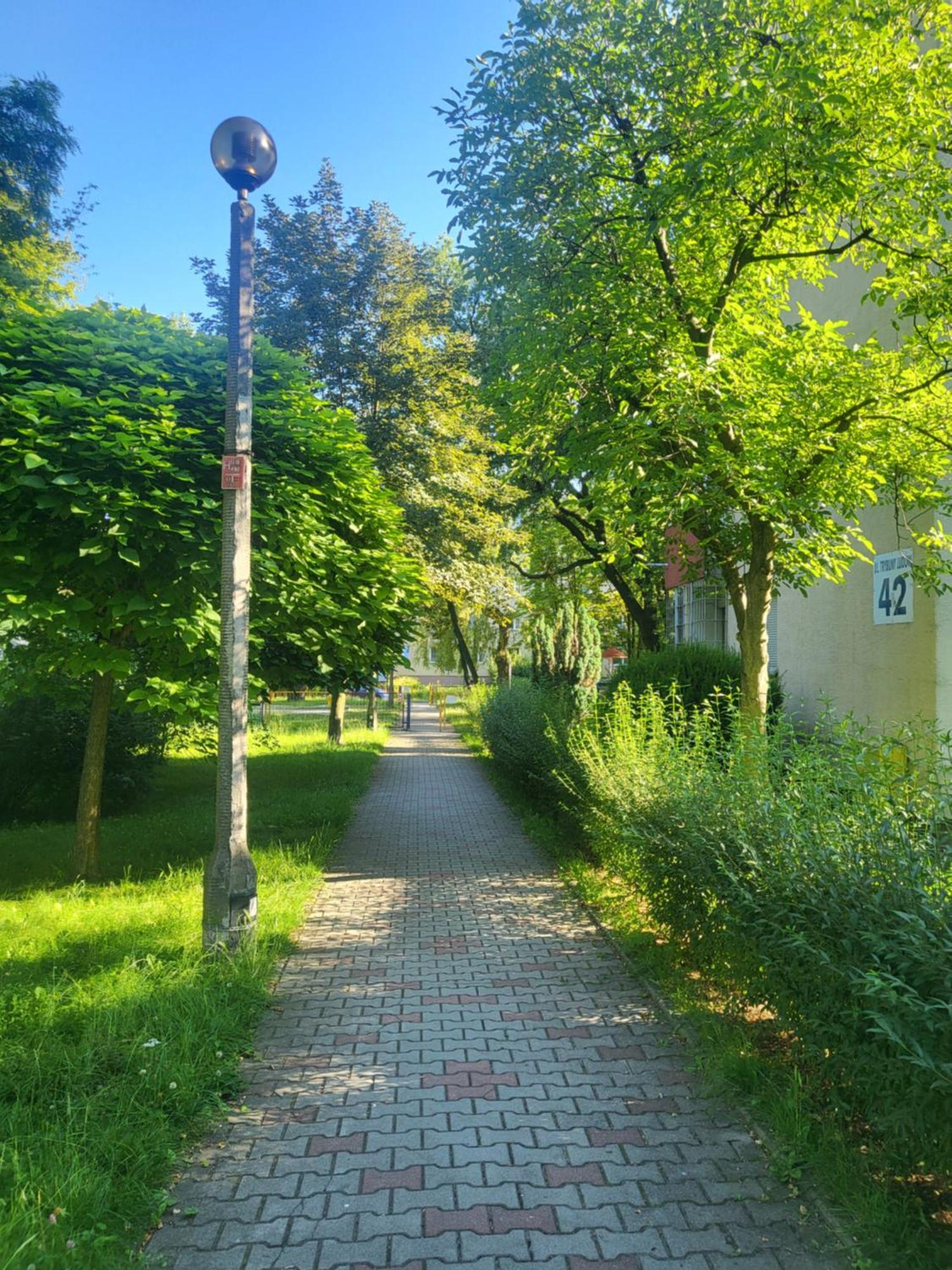 Przytulne Mieszkanie Wola Duchacka Lägenhet Krasków Exteriör bild